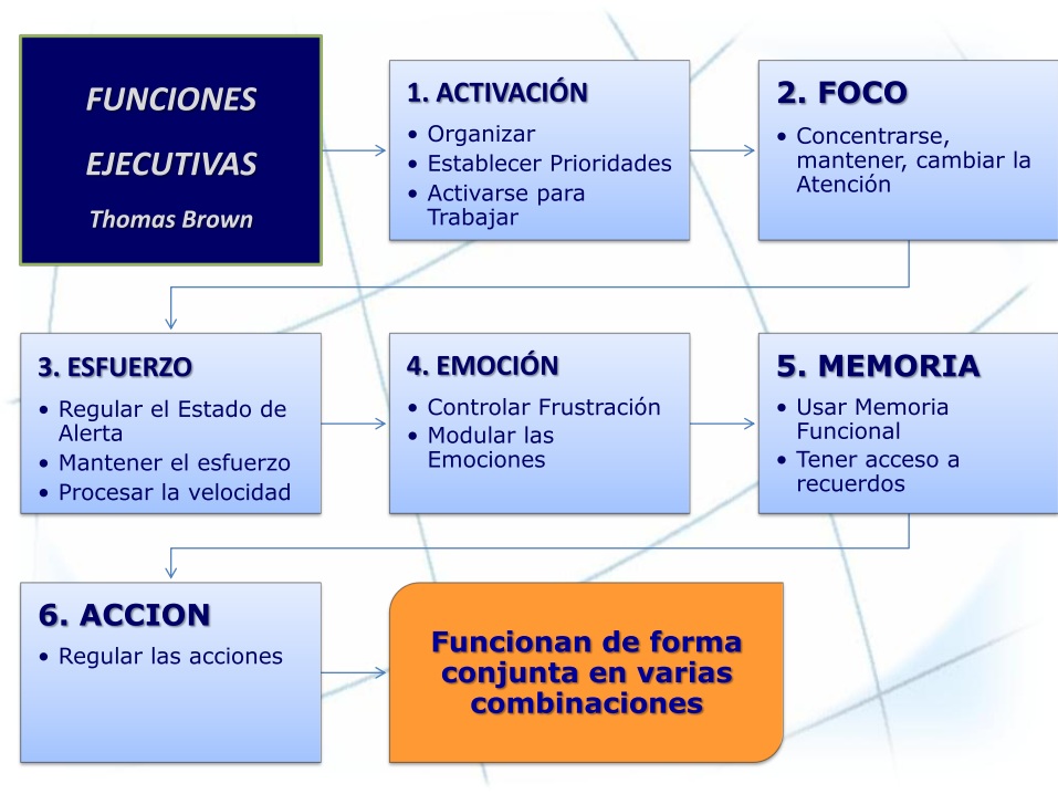 Funcións Executivas ~ Orientación En Galicia